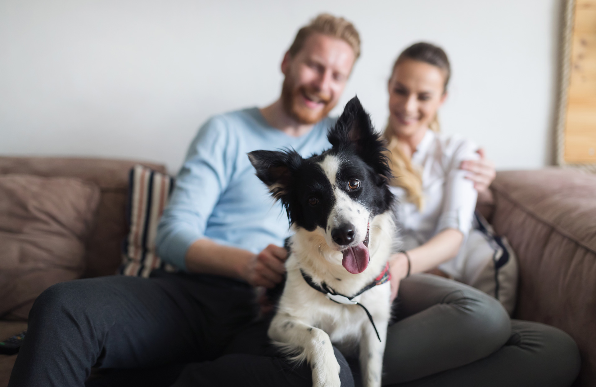 Familie med hund