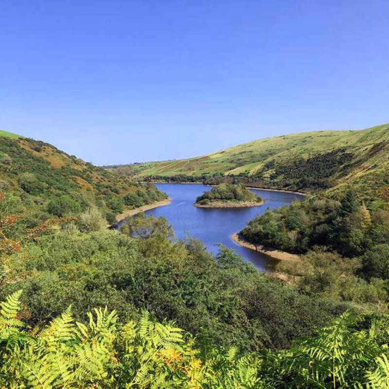 Dartmoor