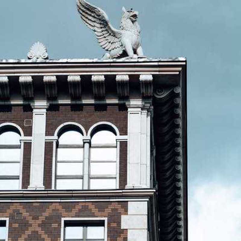 Griffon Belge