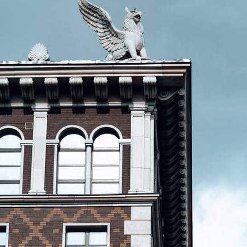 Griffon Bruxellois