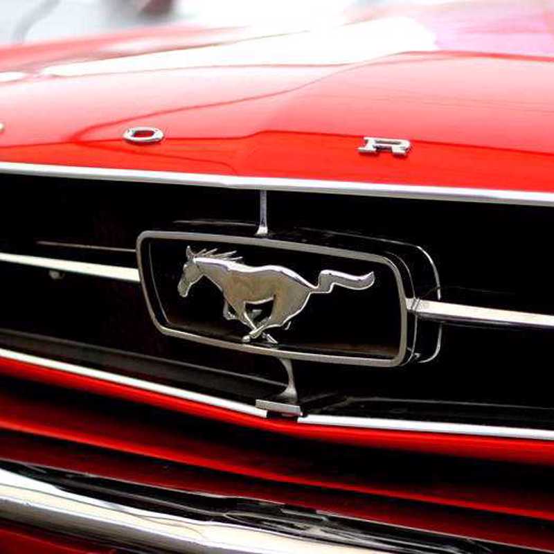 Mustang